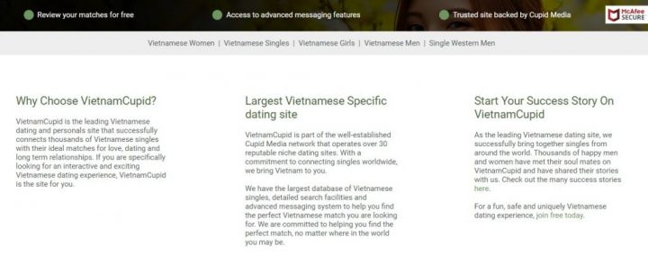 VietnamCupid Site
