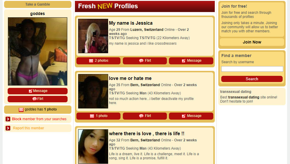 TSDATING_review_2